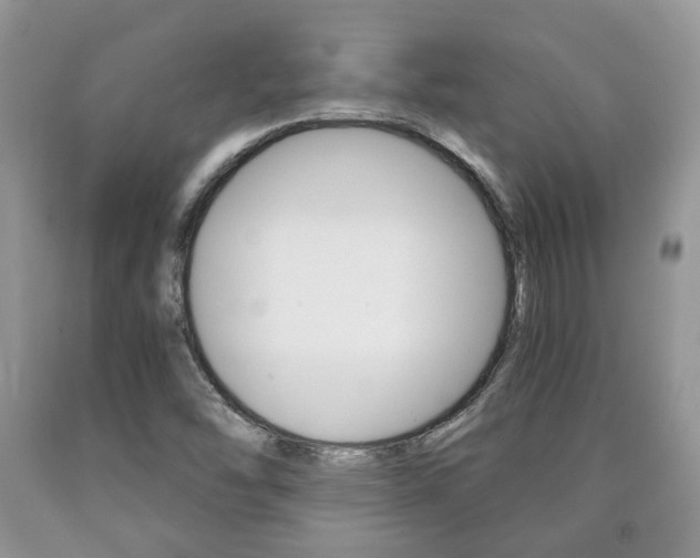 X0000090761454200707201044