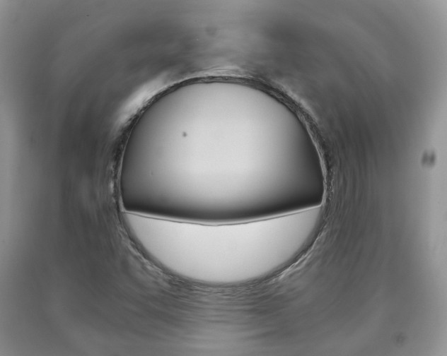 X0000090761455200707201044