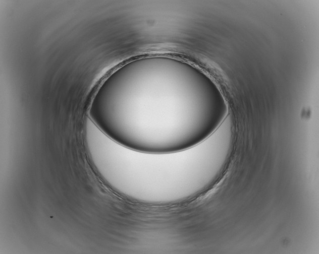 X0000090761457200707201044