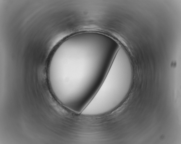 X0000090761458200707201044