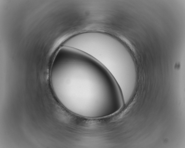 X0000090761461200707201043