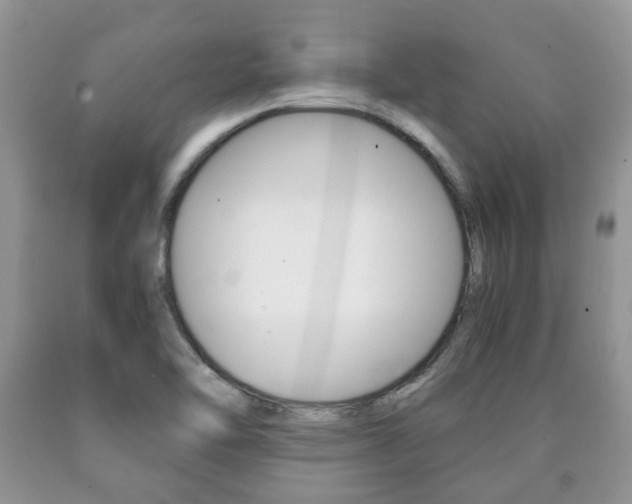 X0000090761462200707201043
