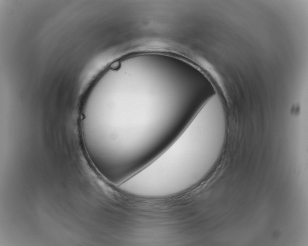 X0000090761464200707201043