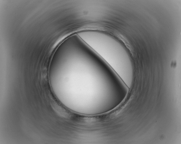 X0000090761465200707201043