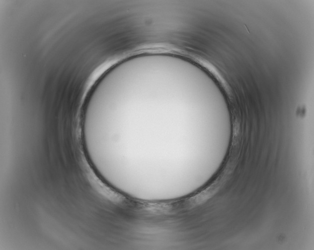 X0000090761466200707201043