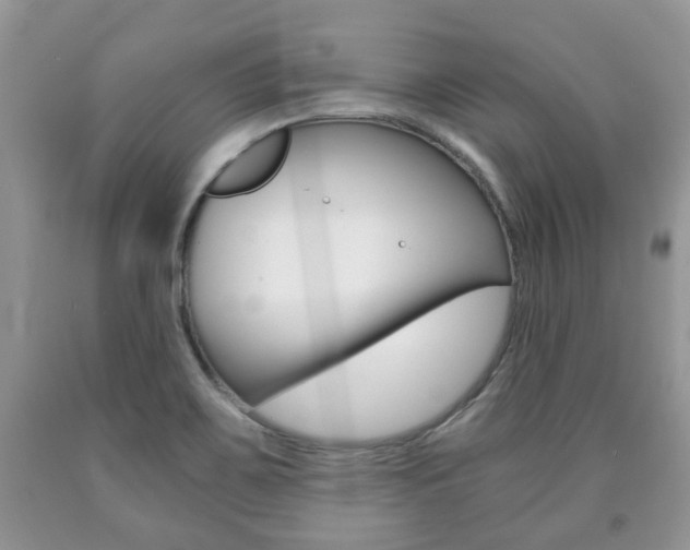 X0000090761467200707201043