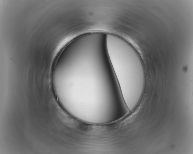 X0000090761469200707201043
