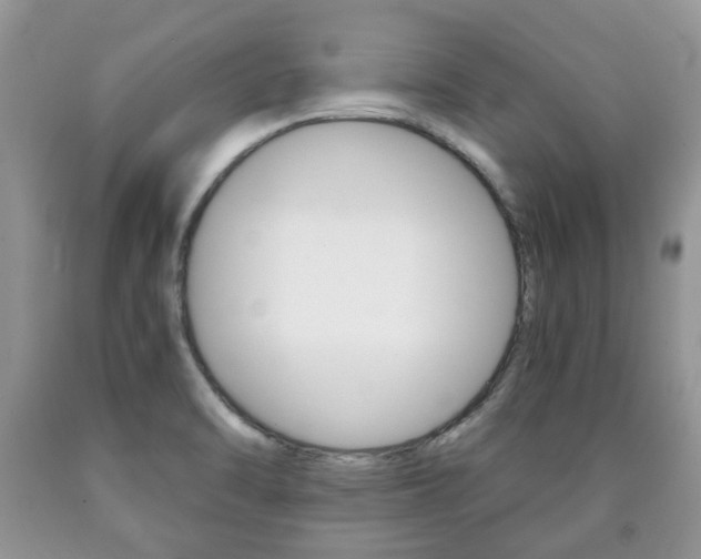 X0000090761470200707201043