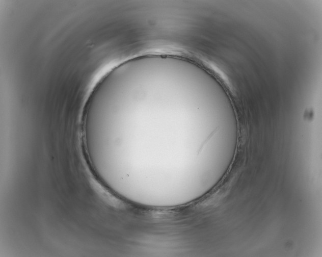 X0000090761471200707201043
