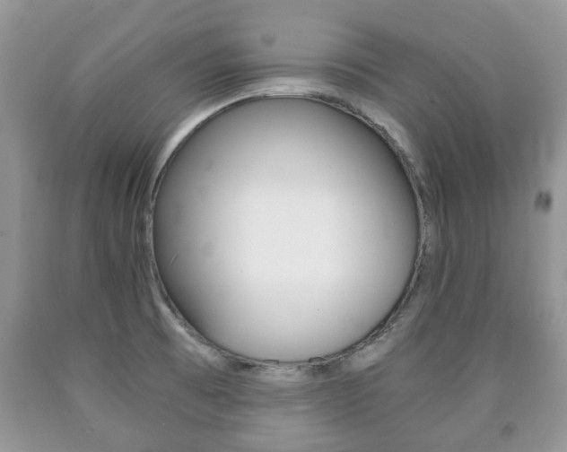 X0000090761473200707201043