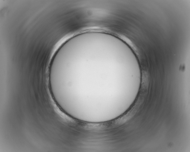 X0000090761474200707201043