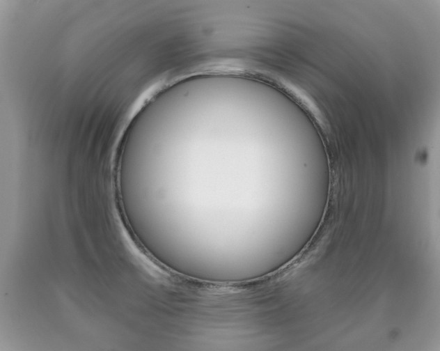 X0000090761475200707201043