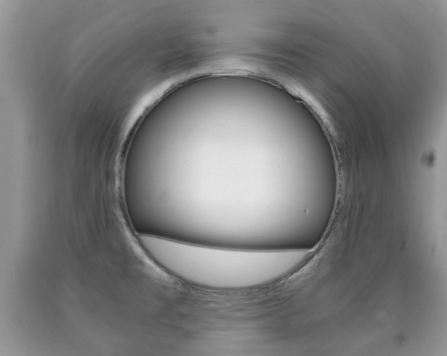 X0000090761477200707201043