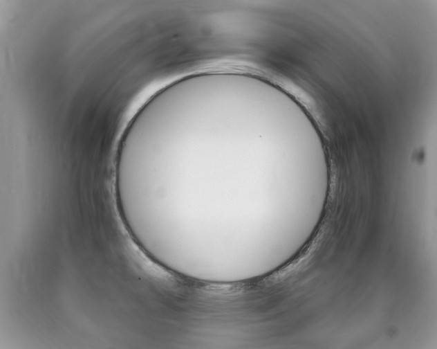 X0000090761478200707201043