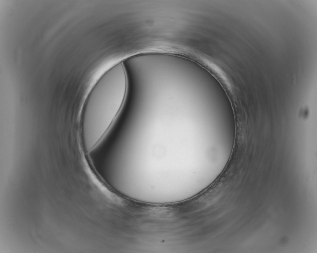 X0000090761479200707201043