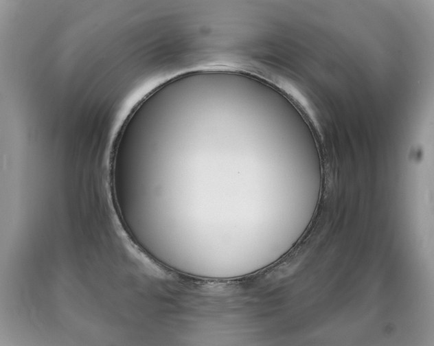 X0000090761480200707201043