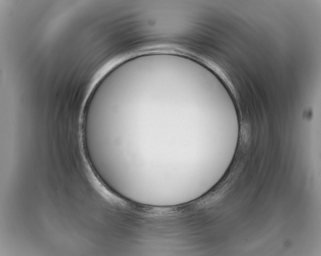X0000090761482200707201043
