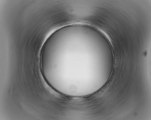 X0000090761483200707201043