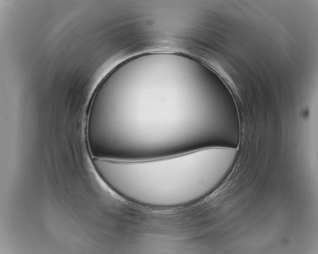 X0000090761484200707201043
