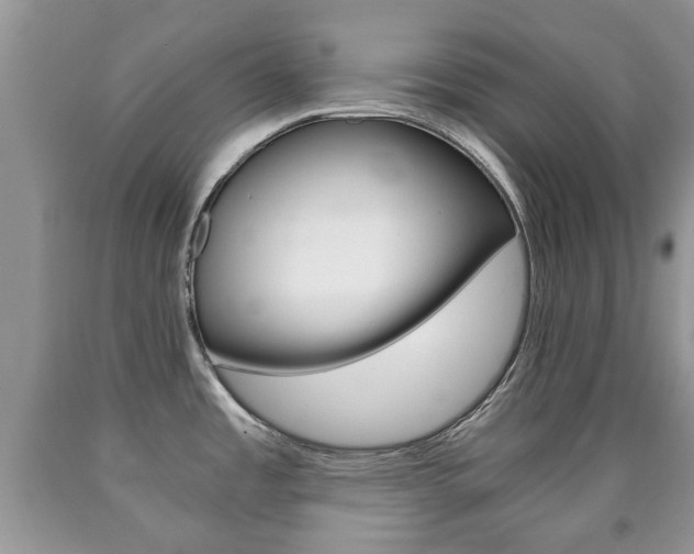 X0000090761485200707201043