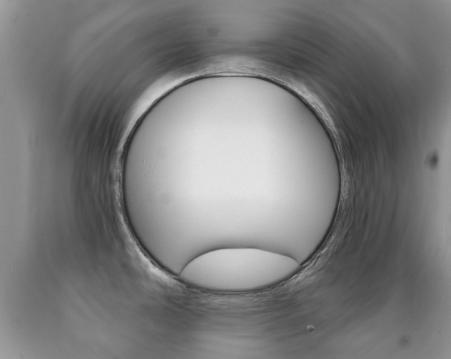 X0000090761486200707201043