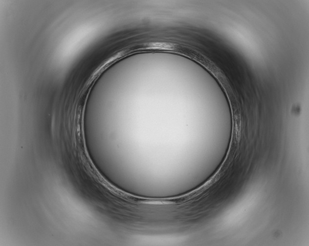 X0000090761487200707201043