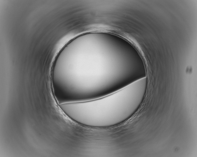 X0000090761488200707201043