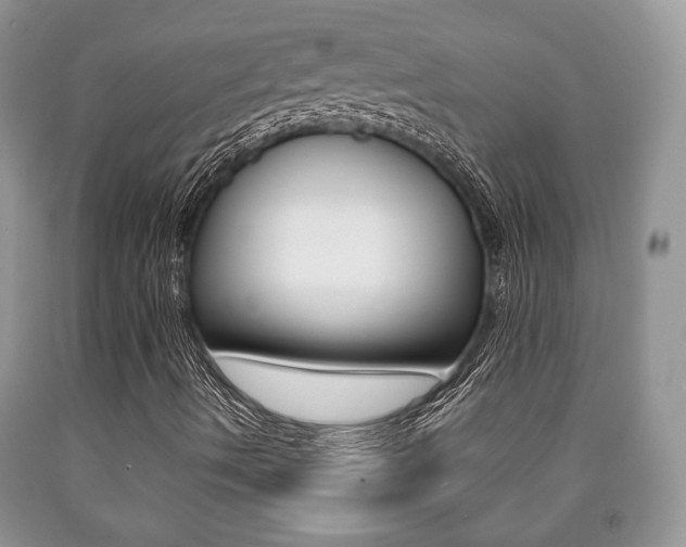 X0000090761490200707201043