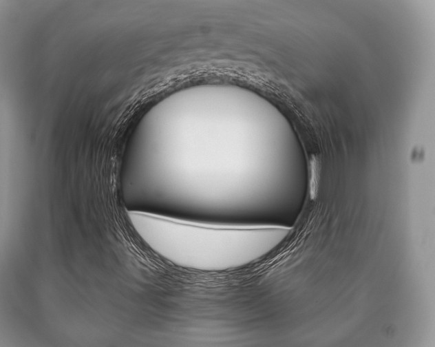 X0000090761491200707201043