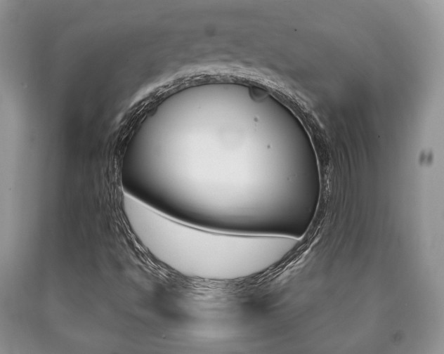 X0000090761494200707201043