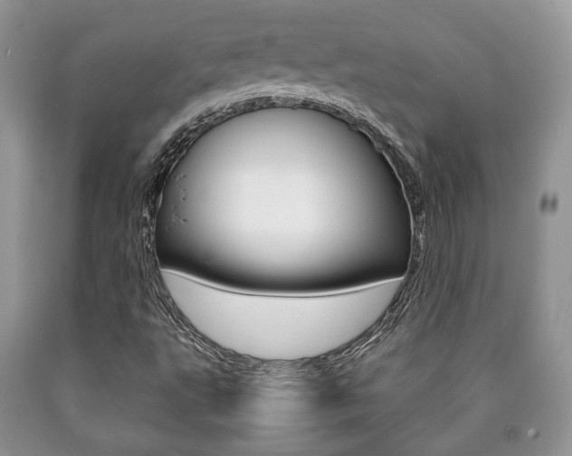 X0000090761495200707201043