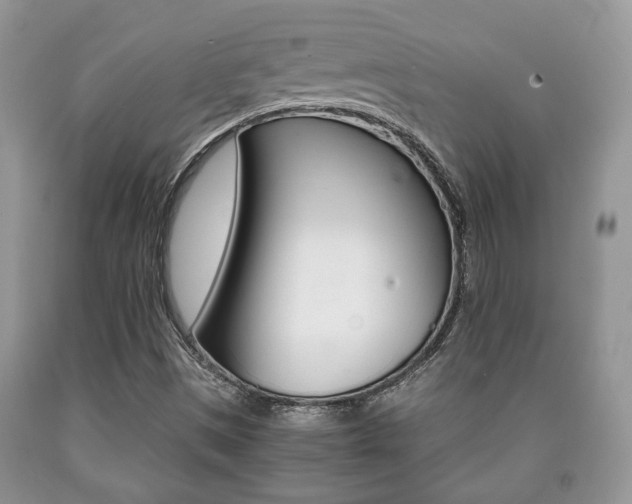 X0000090761497200707201043