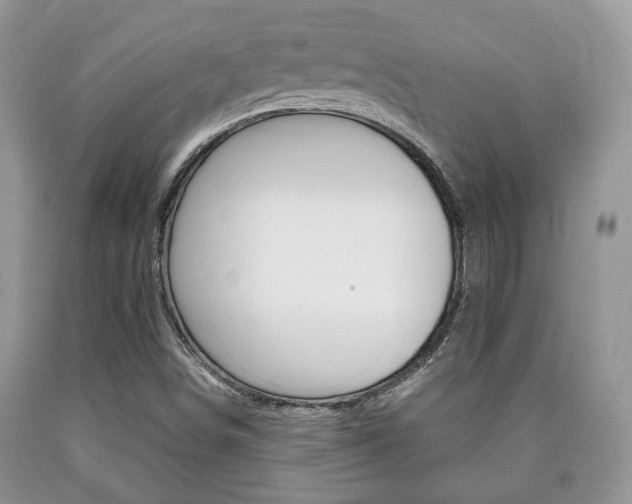 X0000090761498200707201043