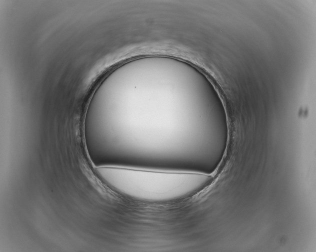 X0000090761499200707201043