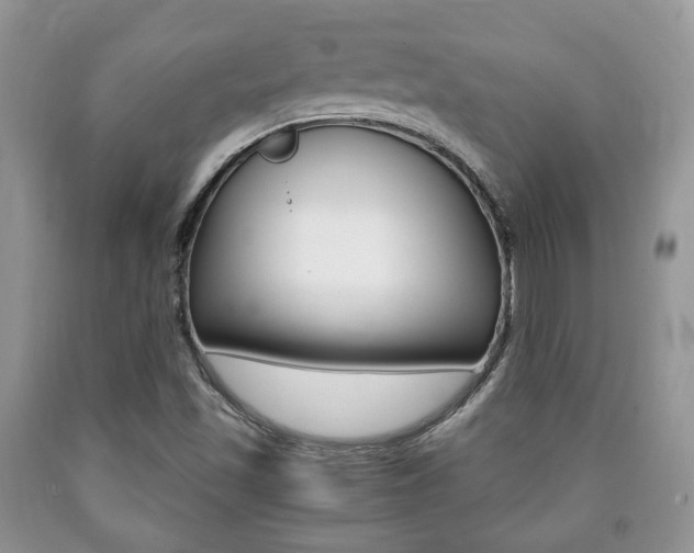 X0000090761501200707201043