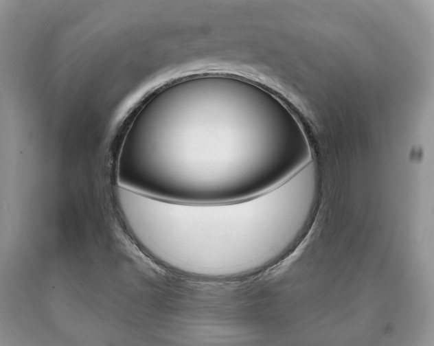 X0000090761502200707201043