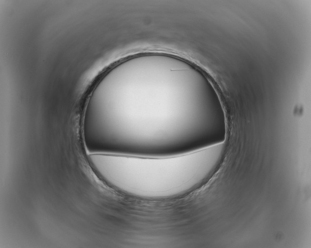 X0000090761503200707201043
