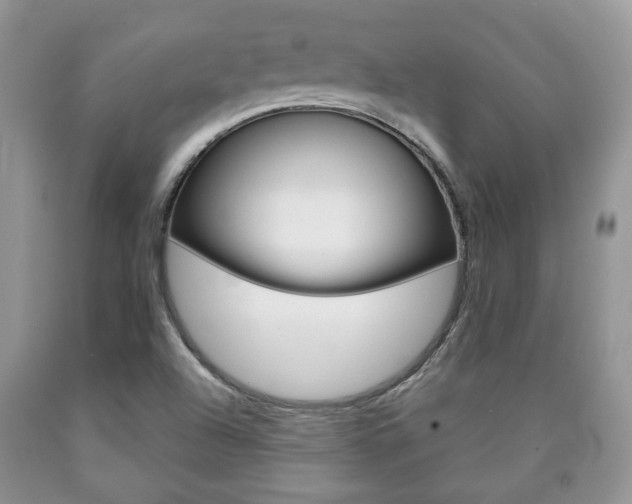 X0000090761504200707201043