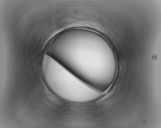 X0000090761505200707201043