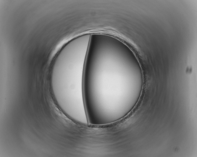 X0000090761506200707201043