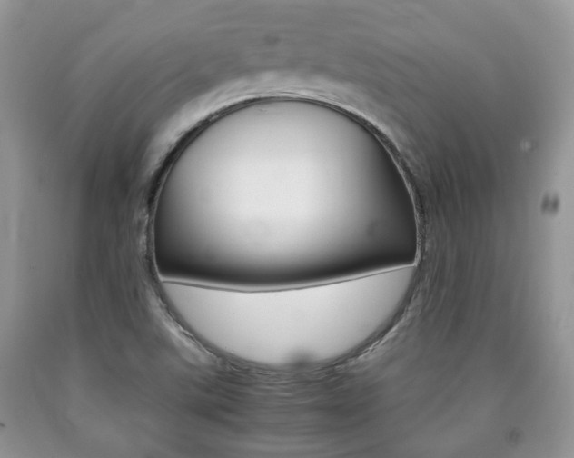 X0000090761507200707201043
