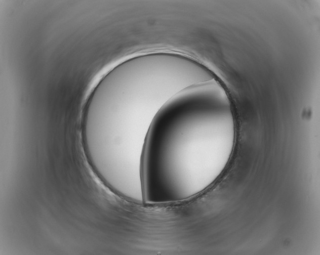 X0000090761508200707201043