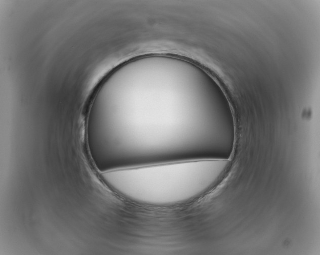 X0000090761509200707201043