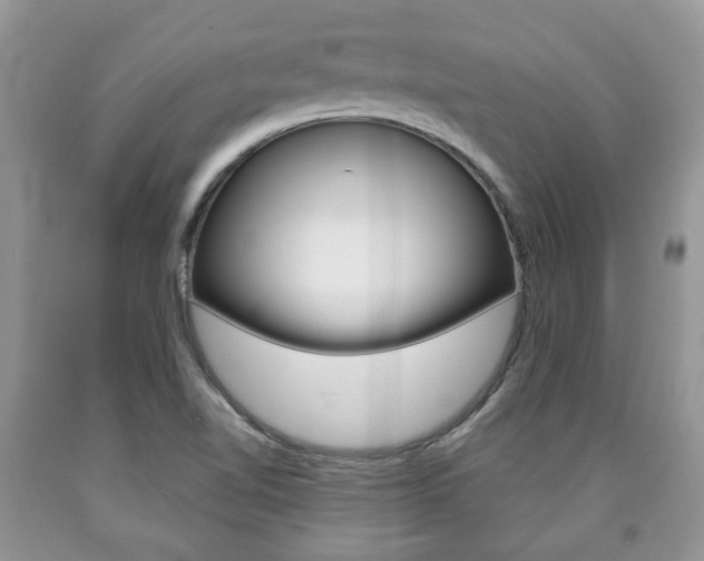 X0000090761510200707201043