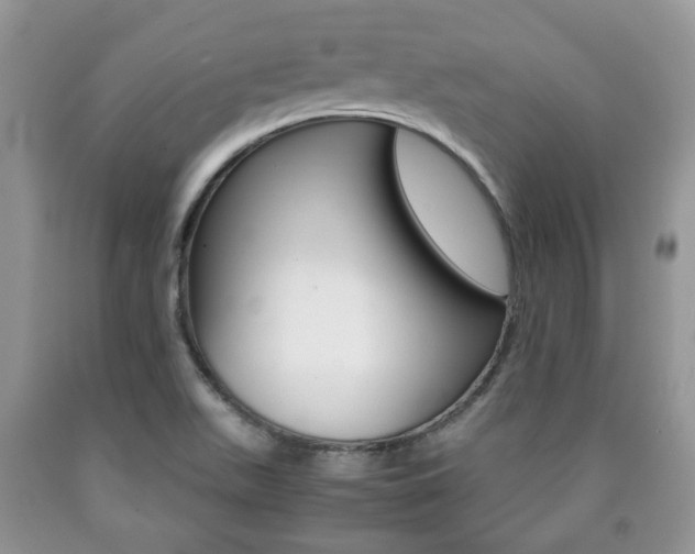 X0000090761511200707201043