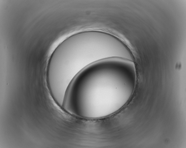 X0000090761512200707201043