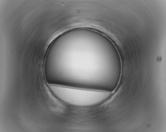 X0000090761513200707201043
