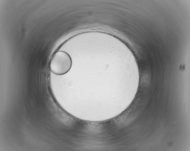 X0000090761514200707201043