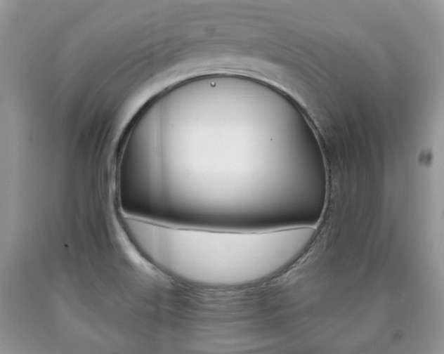 X0000090761515200707201043