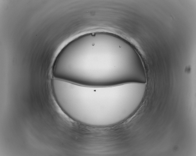 X0000090761516200707201043
